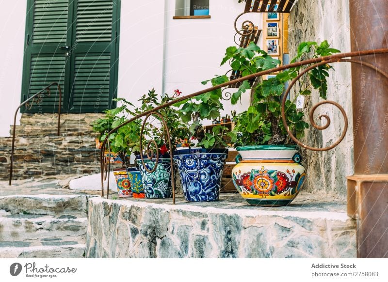 Rustikale Blumentöpfe in Cadaques, Spanien mediterran Haus Garten Topf Dekoration & Verzierung schön Wand Straße weiß Dorf Gebäude Europa Hintergrund heimwärts