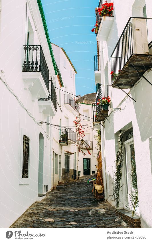 Ländliche Straßen in Cadaques, Spanien costa brava Katalonien ländlich weiß mediterran Dorf traveleurope Spanisch berühmt Sommer Himmel Architektur Ansicht Haus