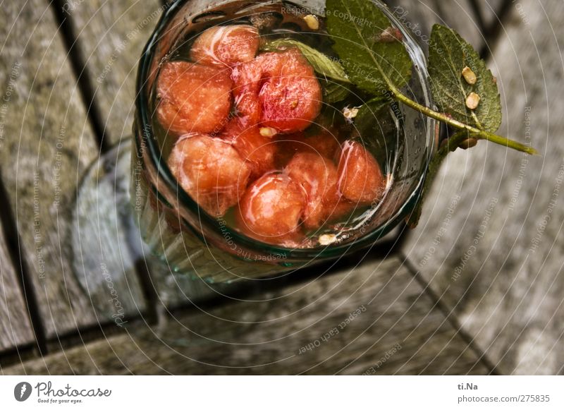 Cocktail mit ganzen Melonen.... Frucht Kräuter & Gewürze Picknick Wassermelone Minze Minzeblatt Getränk Erfrischungsgetränk Alkohol Wein Sekt Prosecco