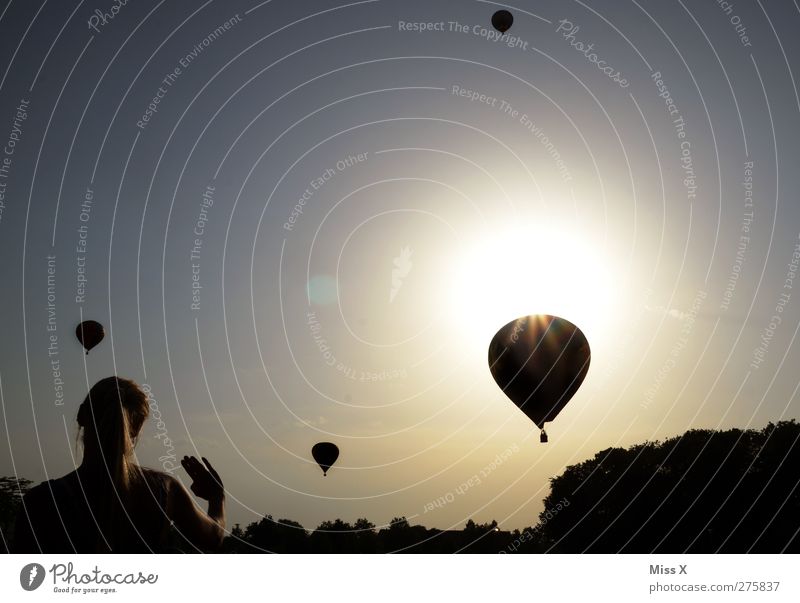 goodbye Ferne Freiheit Mensch feminin Frau Erwachsene 1 Luft Wolkenloser Himmel Schönes Wetter fahren fliegen Gefühle Stimmung Liebeskummer Heimweh Fernweh