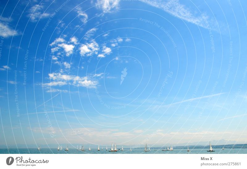 Sommertag Ferien & Urlaub & Reisen Tourismus Ferne Sommerurlaub Meer Landschaft Himmel Wolken Schönes Wetter Küste See blau Bodensee Segelschiff Wasserfahrzeug