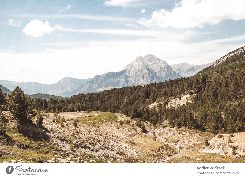 Grüner Wald und Hügel Berge u. Gebirge Natur Landschaft Felsen Ferien & Urlaub & Reisen Sonnenstrahlen Tag schön Aussicht Sommer Tourismus Umwelt natürlich