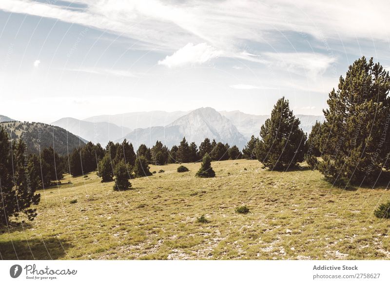 Grüner Wald und Hügel Berge u. Gebirge Natur Landschaft Felsen Ferien & Urlaub & Reisen Sonnenstrahlen Tag schön Aussicht Sommer Tourismus Umwelt natürlich