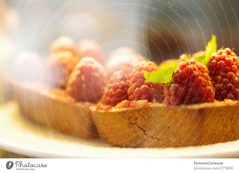 Lecker Fruchttörtchen. :) Lebensmittel Ernährung Büffet Brunch Festessen Geschäftsessen Picknick Bioprodukte Vegetarische Ernährung Leichtigkeit Torte Himbeeren