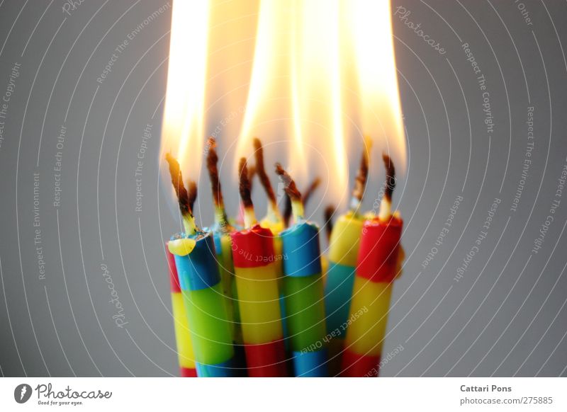 burning candles Freude Veranstaltung heiß mehrfarbig Kerze Wachs brennen Geburtstag hell Wärme leuchten Licht Energie Feuer Flamme Kerzendocht