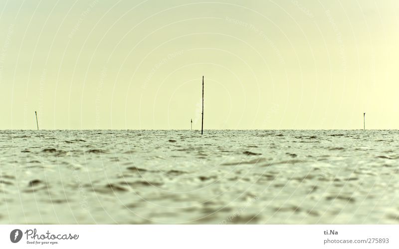 Lieblingsort Umwelt Natur Landschaft Urelemente Luft Wasser Himmel Frühling Sommer Herbst Bucht Nordsee Bewegung Schwimmen & Baden Unendlichkeit blau gelb