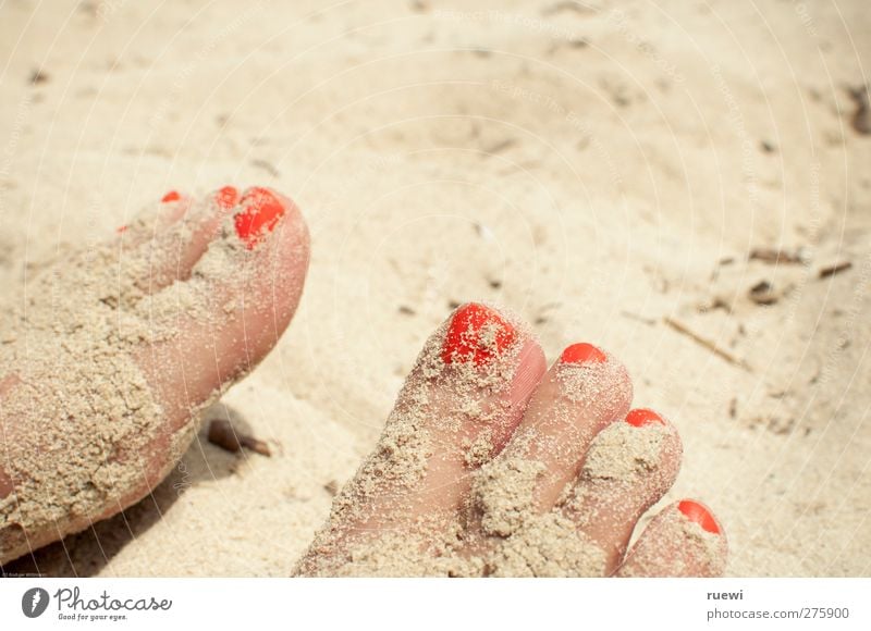 Sand im Ge(h)triebe Haut Nagellack Ferien & Urlaub & Reisen Sommer Sommerurlaub Sonnenbad Strand Mensch feminin Frau Erwachsene Fuß Zehen Zehennagel 1