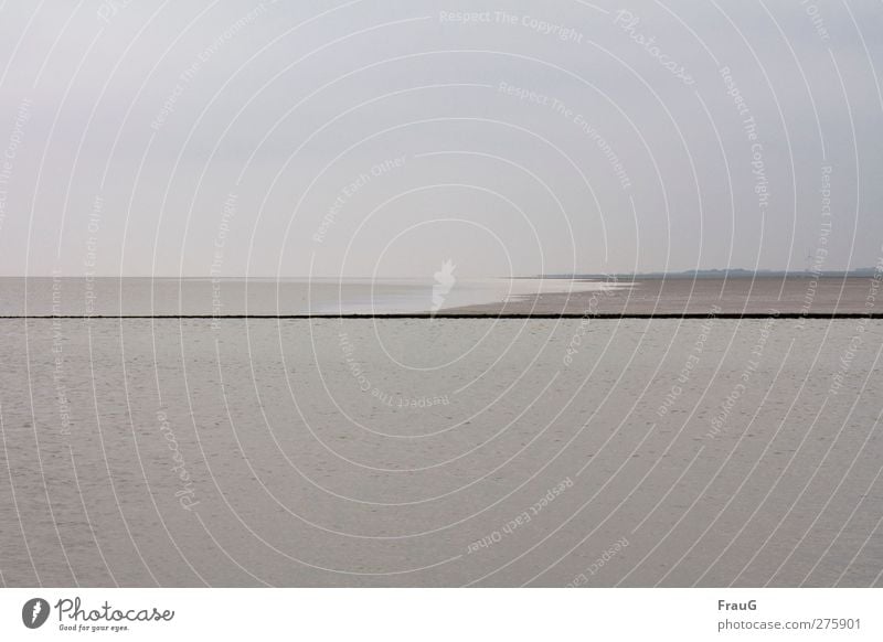 Waterkant Umwelt Wasser Himmel Sommer Meer Nordsee Landkreis Friesland Wattenmeer Möwe Sand Linie grau Wolken trüb Trennlinie Farbfoto Außenaufnahme