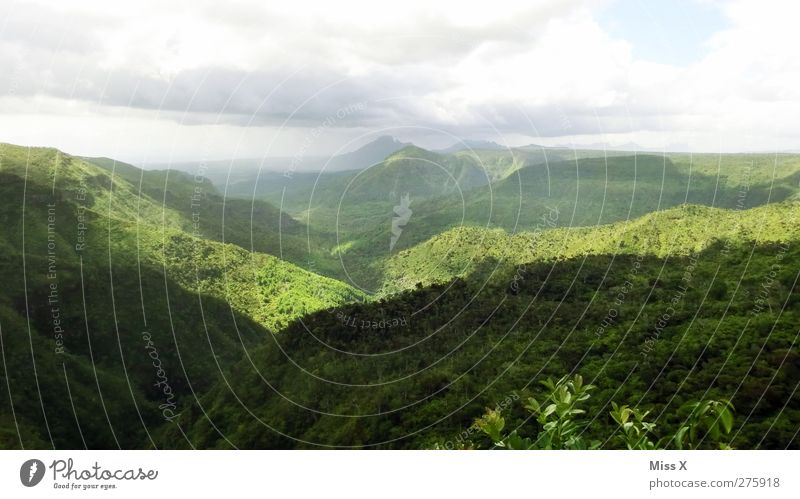 Regenwald Abenteuer Ferne Expedition Natur Landschaft Wolken Baum Urwald Hügel Berge u. Gebirge exotisch grün Tourismus Farbfoto Außenaufnahme Menschenleer