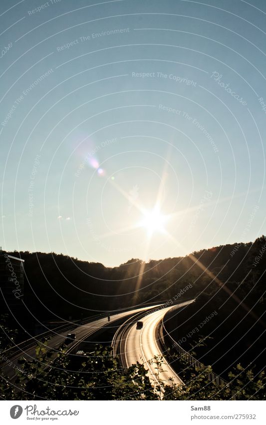 Fahrt in die Sonne Natur Landschaft Sommer Baum Wald Bauwerk Verkehrswege Autofahren Straße Autobahn Brücke Fahrzeug PKW heiß hell Vorfreude Freiheit