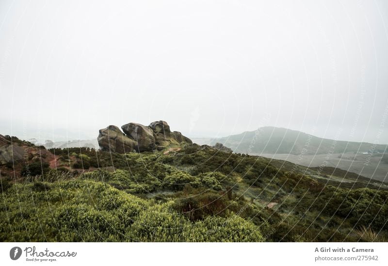 your imagination Umwelt Natur Landschaft Pflanze Urelemente Himmel Wolken Horizont Frühling Klima Klimawandel Wetter schlechtes Wetter Nebel Hügel Felsen