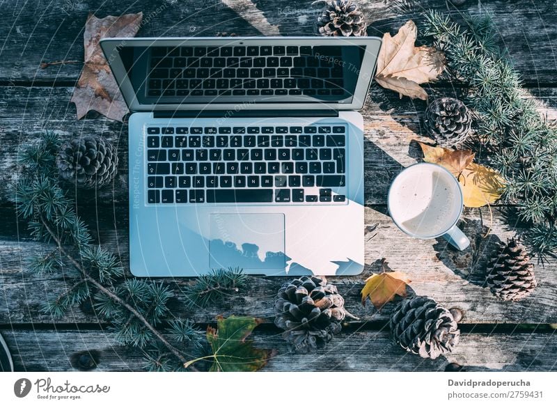 Computer auf einem Holztisch mit Kaffee und Kiefern im Freien Weihnachten & Advent Notebook Technik & Technologie Geschenk heiß trinken Weihnachtsmann Leben