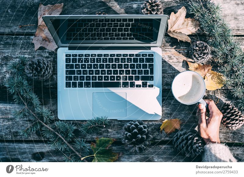 Computer auf einem Holztisch mit Kaffee und Kiefern im Freien Weihnachten & Advent Notebook Technik & Technologie Arbeit & Erwerbstätigkeit Hand Arme beobachten