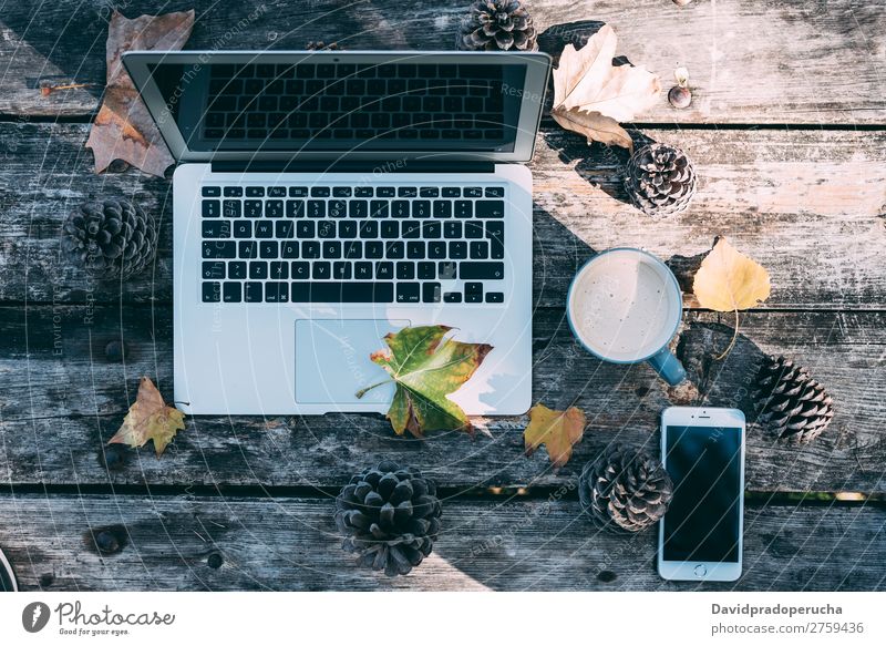 Computer auf einem Holztisch mit Kaffee und Kiefern im Freien Weihnachten & Advent Notebook Technik & Technologie Geschenk heiß trinken Weihnachtsmann Leben