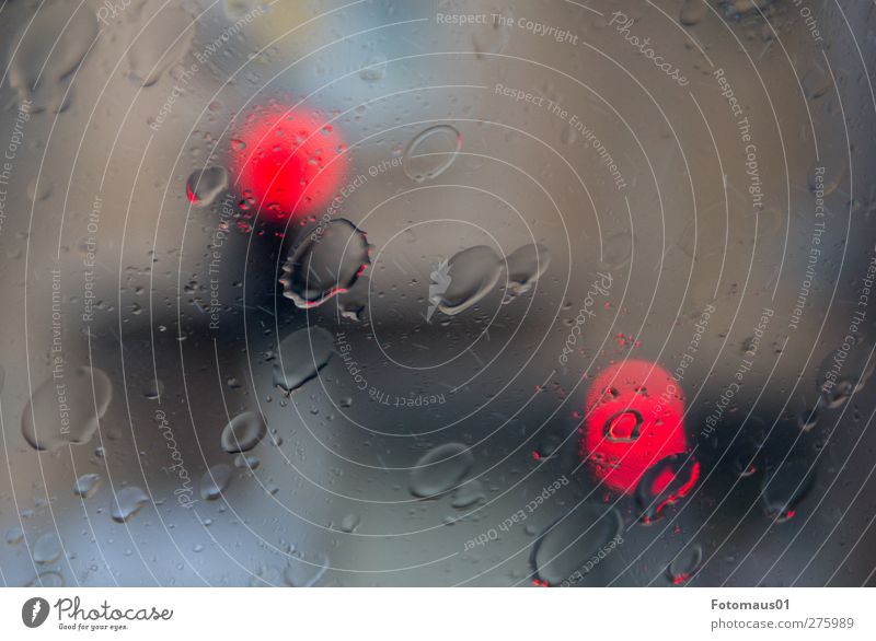 Regensommer Wassertropfen schlechtes Wetter Glas Tropfen Traurigkeit Farbfoto Außenaufnahme Nahaufnahme Menschenleer Tag Licht Unschärfe Zentralperspektive