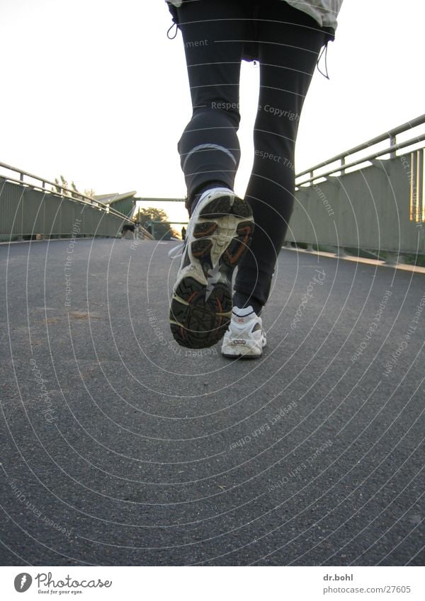 joggingschuh Joggen Freizeit & Hobby Schuhe Hund Sport laufen rennen Bewegung Brücke