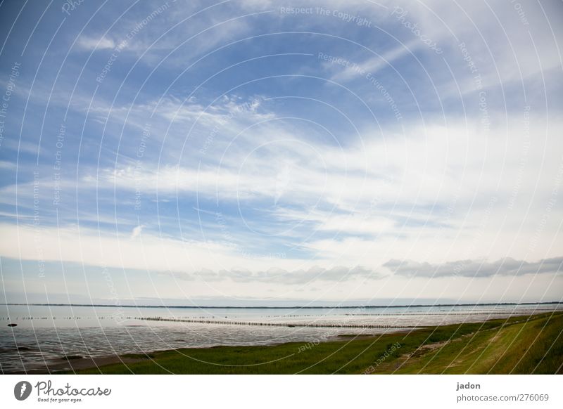 so viel meer. Ferien & Urlaub & Reisen Meer Erde Wasser Himmel Wolken Sommer Gras Küste Bucht Unendlichkeit blau Einsamkeit Ewigkeit Horizont Natur Perspektive