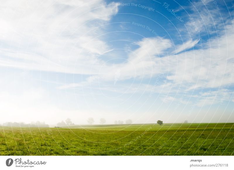 Wettervorhersage Umwelt Natur Landschaft Pflanze Urelemente Himmel Wolken Sommer Schönes Wetter Baum Feld Dunst schön Lebensfreude Stimmung Umweltschutz