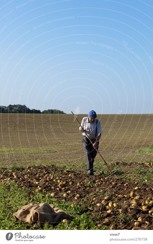 Kartoffelernte Arbeit & Erwerbstätigkeit Arbeitsplatz Landwirtschaft Forstwirtschaft Mensch maskulin Großvater Senior 1 45-60 Jahre Erwachsene 60 und älter