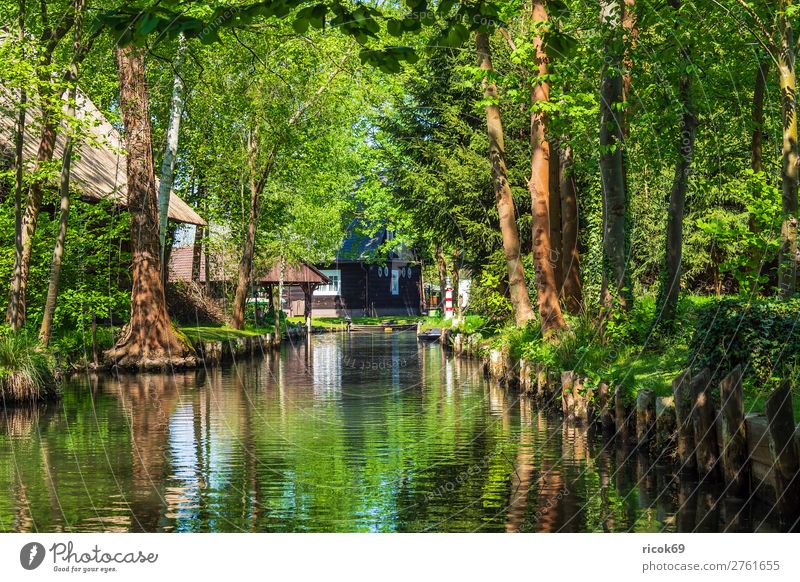 Gebäude im Spreewald in Lehde Erholung Ferien & Urlaub & Reisen Tourismus Haus Natur Landschaft Wasser Frühling Baum Wald Fluss Dorf Architektur