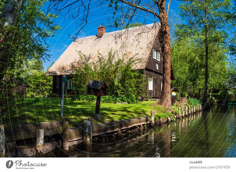 Gebäude im Spreewald in Lehde Erholung Ferien & Urlaub & Reisen Tourismus Haus Natur Landschaft Wasser Frühling Baum Wald Fluss Dorf Architektur