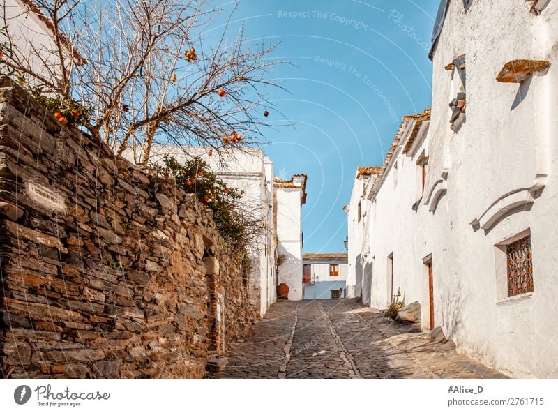 Mittelalterliches Dorf Monsaraz im Alentejo Portugal Ferien & Urlaub & Reisen Europa Kleinstadt Altstadt Haus Architektur Fassade Sehenswürdigkeit Straße