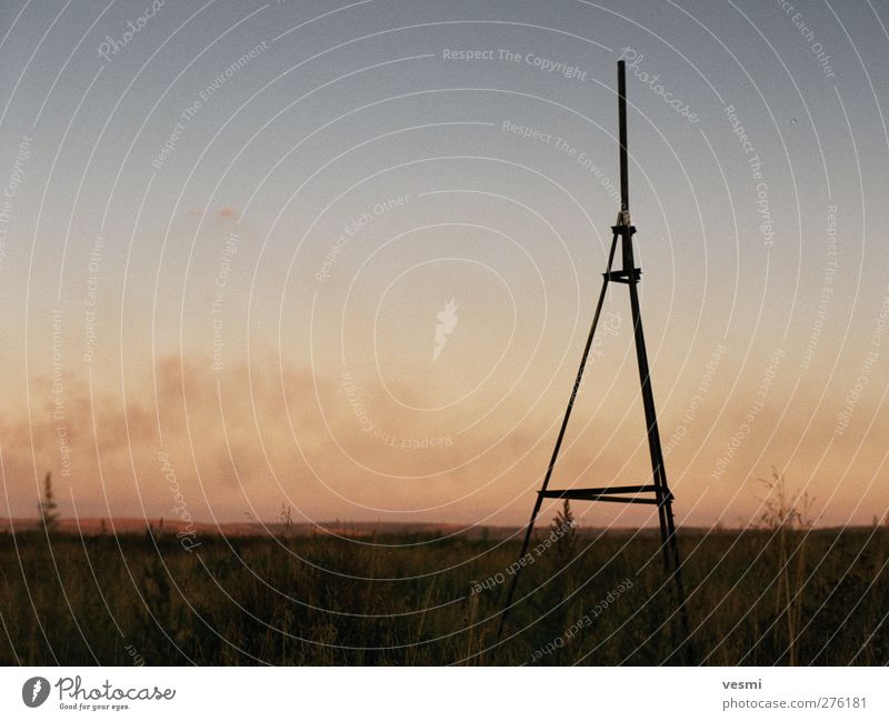 Blitzableiter Landschaft Himmel Wolkenloser Himmel dunkel Rauch Himmel (Jenseits) Sommer Sonnenuntergang Wärme Steppe ruhig Silhouette Linie stehen Freiraum