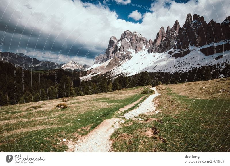 Wanderpfad zu den Dolomiten Panorama (Aussicht) Tag Außenaufnahme Farbfoto Ziel Natur Beginn grün grau braun wild natürlich gehen genießen eckig gigantisch groß