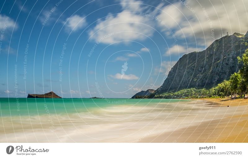 Fernweh/ Oahu Hawaii Ferien & Urlaub & Reisen Tourismus Ausflug Abenteuer Ferne Freiheit Expedition Sommer Strand Meer Insel Wellen Umwelt Natur Landschaft