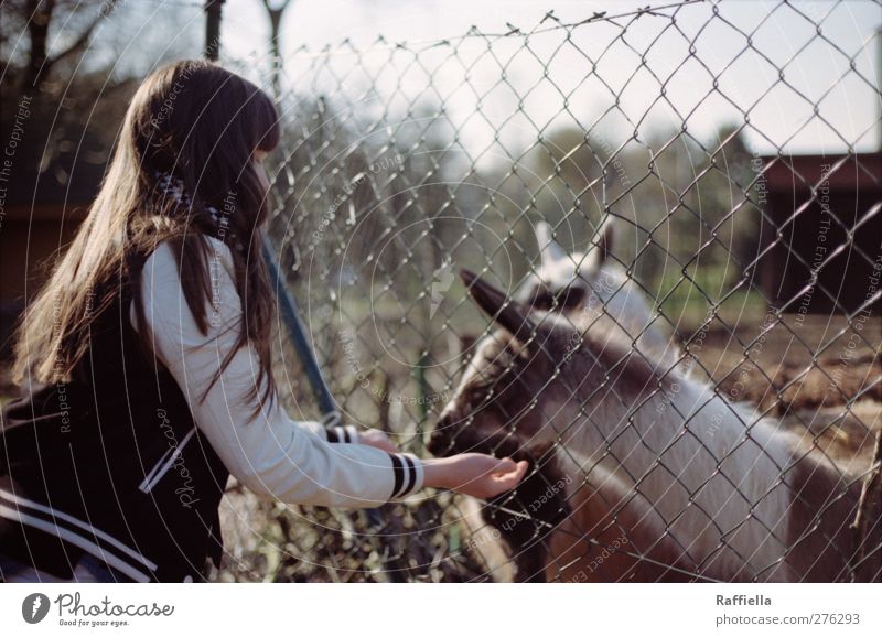 ein tag wie kein anderer feminin Junge Frau Jugendliche Körper Haare & Frisuren Arme Hand 1 Mensch 18-30 Jahre Erwachsene Jacke brünett langhaarig Pony Tier