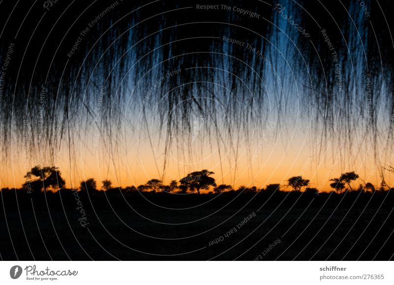 Pinselhimmel Umwelt Natur Landschaft Pflanze Wolkenloser Himmel Nachthimmel Horizont Sonnenaufgang Sonnenuntergang Sonnenlicht Klima Klimawandel Wetter