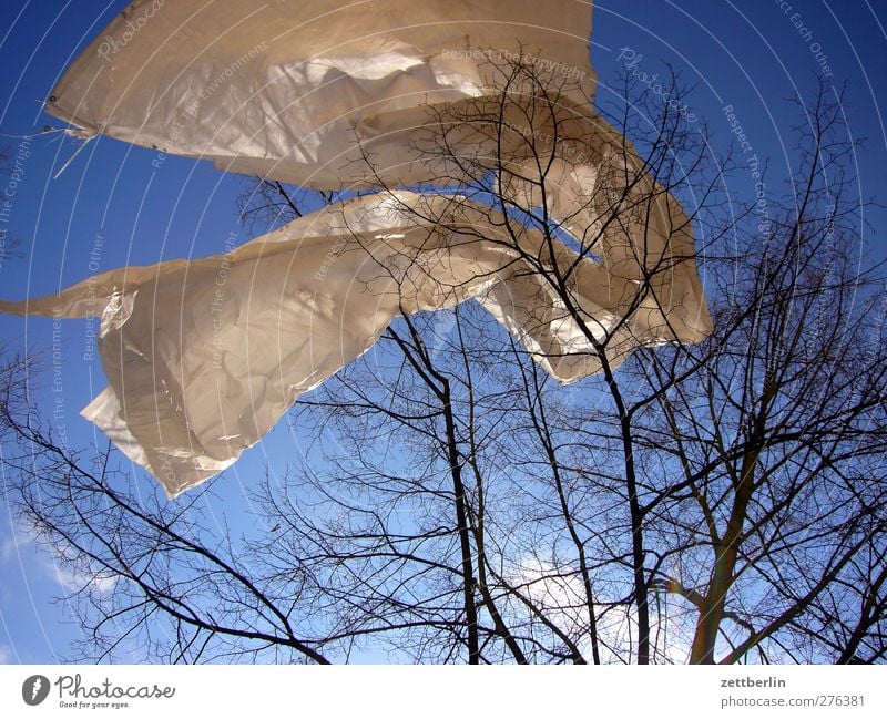 Folie im Baum Umwelt Natur Landschaft Himmel Wolken Frühling Winter Klima Klimawandel Wetter Schönes Wetter gut schön Plastiktüte Kunststoff Wind wehen flattern