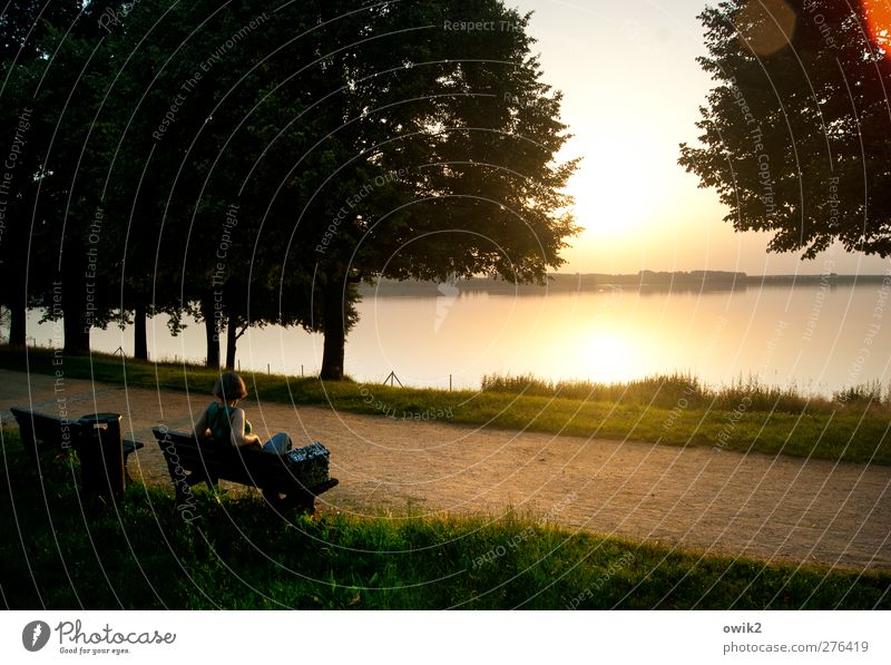 Abendschau Frau Erwachsene 1 Mensch Umwelt Natur Landschaft Pflanze Wasser Himmel Horizont Klima Wetter Schönes Wetter Baum Gras Seeufer beobachten entdecken