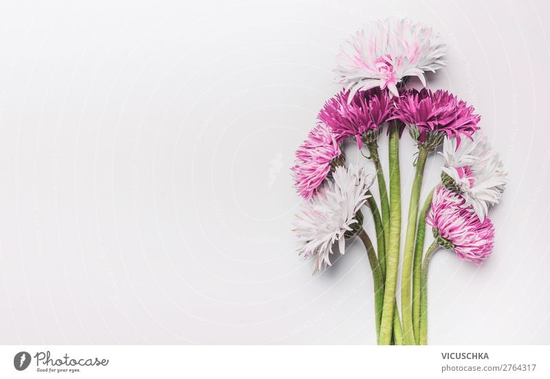 Blumenstrauß mit Gerbera-Gänseblümchen auf weißem Schreibtisch, Draufsicht mit Kopierraum. Kann für Muttertag, Frauentag, Geburtstag oder Hochzeit verwendet werden. Grußkarte