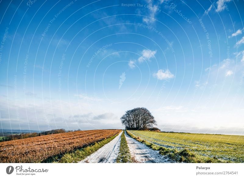 Schnee auf einer Landstraße mit bunten Feldern schön Ferien & Urlaub & Reisen Winter Umwelt Natur Landschaft Himmel Horizont Wetter Baum Gras Wiese Wald Verkehr