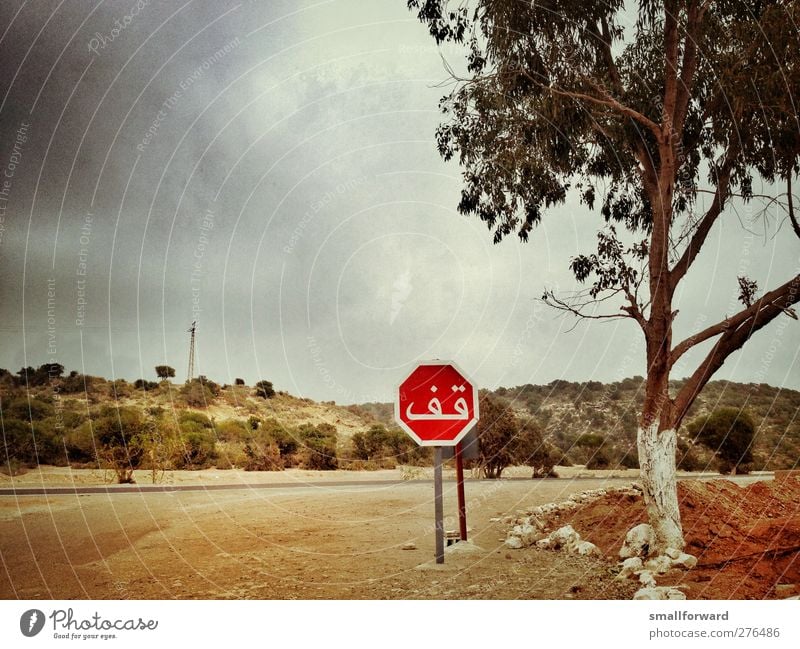 stop! Abenteuer Sommer Erde Sand Gewitterwolken Wärme Baum Zeichen Schilder & Markierungen Hinweisschild Warnschild Verkehrszeichen heiß Wahrheit authentisch