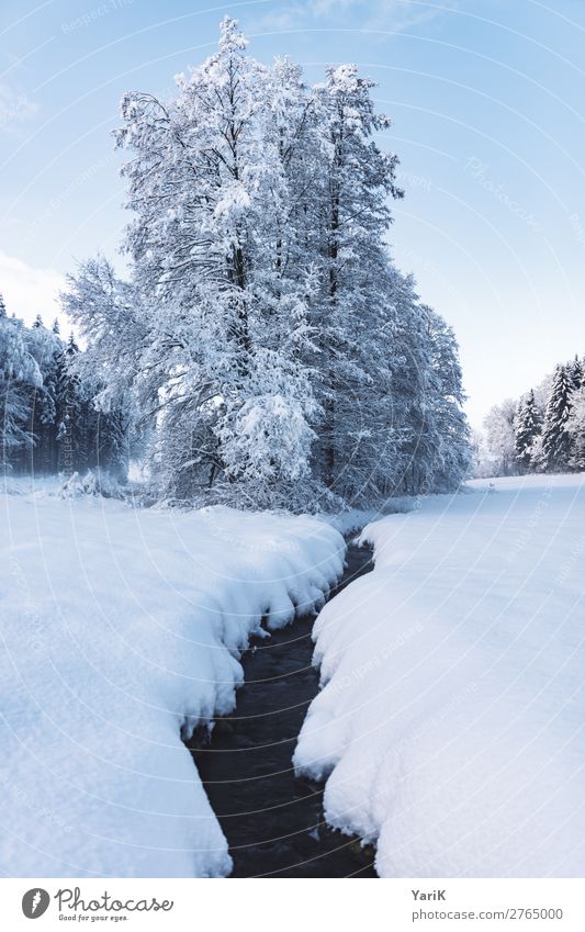 winter creek Natur Landschaft Himmel Winter Klima Klimawandel Wetter Eis Frost Schnee Baum Feld Wald kalt Bach Schneedecke blau weiß Bayern Deutschland