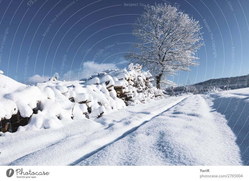 winter way Natur Landschaft Himmel Sonnenlicht Winter Klima Klimawandel Wetter Schönes Wetter Eis Frost Schnee Feld kalt blau Blauer Himmel weiß Bayern