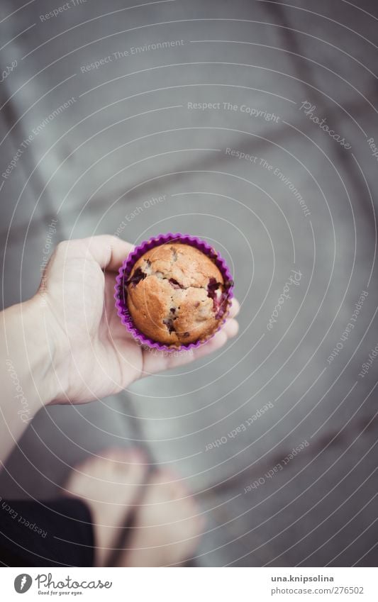 ein muffin für dich Lebensmittel Teigwaren Backwaren Kuchen Muffin Ernährung Mensch Hand 1 18-30 Jahre Jugendliche Erwachsene festhalten frisch lecker natürlich