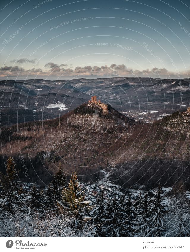 Trifels Umwelt Natur Landschaft Pflanze Himmel Wolken Sonnenlicht Winter Baum Wald Berge u. Gebirge Pfälzerwald Schneebedeckte Gipfel Mittelgebirge Bauwerk