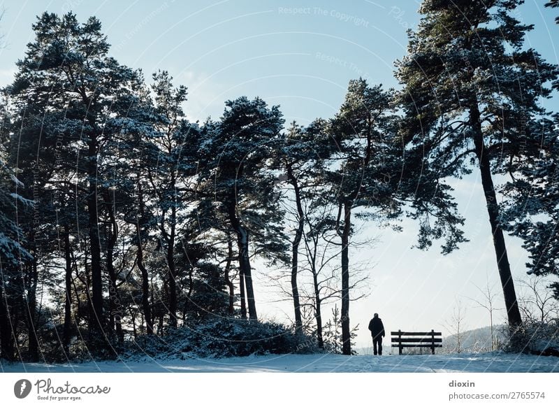 Ausblick Ferien & Urlaub & Reisen Ausflug Abenteuer Ferne Freiheit Winter Berge u. Gebirge wandern 1 Mensch 30-45 Jahre Erwachsene Umwelt Natur Landschaft