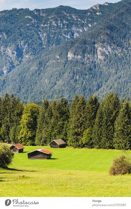 Landschaftsansicht Bayerische Alpen, Deutschland, Europa schön Ferien & Urlaub & Reisen Tourismus Sommer Berge u. Gebirge wandern Natur Himmel Wolken Baum Blume