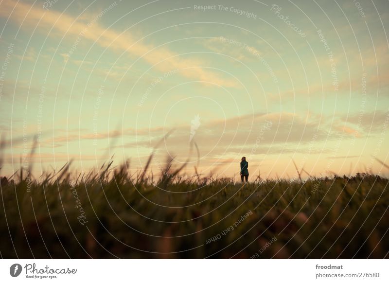 calm Mensch 1 Umwelt Natur Landschaft Himmel Wolken Horizont Sonnenaufgang Sonnenuntergang Herbst Schönes Wetter Wiese beobachten Erholung genießen träumen