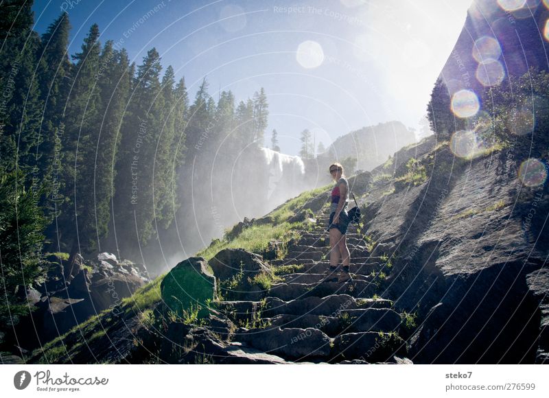 misty trail Mensch Junge Frau Jugendliche 1 18-30 Jahre Erwachsene Wolkenloser Himmel Sonnenlicht Sommer Schönes Wetter Nebel Wald Felsen Wasserfall Treppe