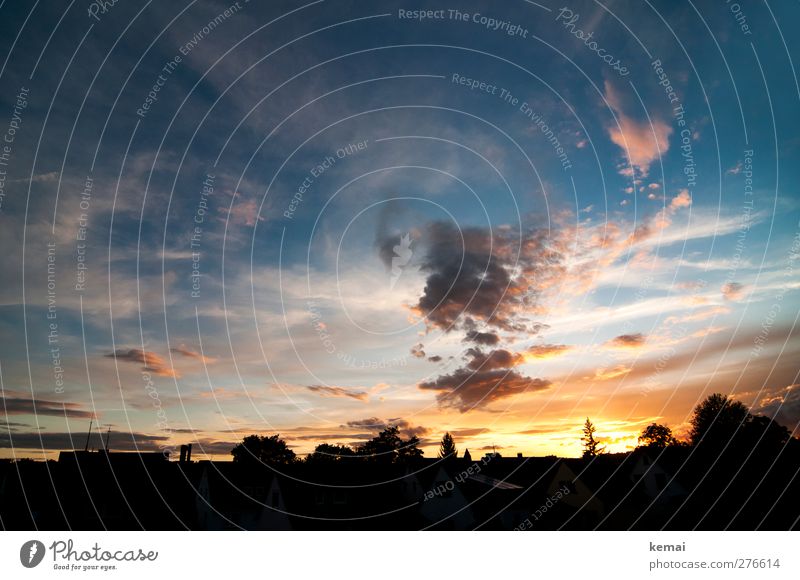 Zwischen Sonnen- und Mondhoch Umwelt Natur Landschaft Himmel Wolken Sonnenaufgang Sonnenuntergang Sonnenlicht Sommer Schönes Wetter Wärme Baum schön blau