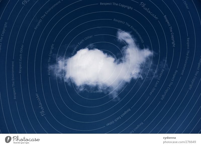 *24OO* Auswa(h)lkriterien ruhig Umwelt Himmel nur Himmel Wolken Klima Wetter Schönes Wetter Wind Zeichen ästhetisch Design Freiheit Idee Identität einzigartig