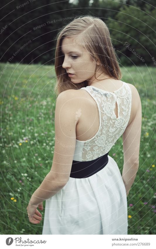 entzückender rücken elegant Stil schön feminin Junge Frau Jugendliche Erwachsene 1 Mensch 18-30 Jahre Landschaft Wiese Wald Mode Kleid Stoff Spitze