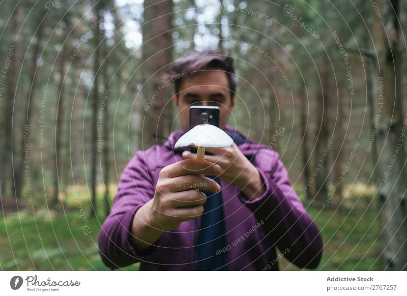 Mann, der ein Foto von einem Pilz macht. Sammeln geschnitten Tourismus natürlich Umwelt Jahreszeiten Pflanze Gesundheit Herbst abholen frisch Wald Moos pflücken