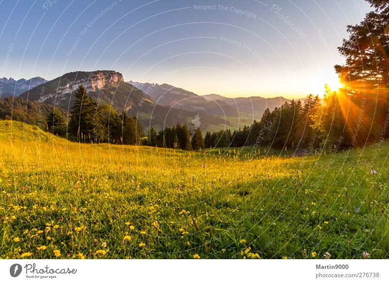 Abendruhe auf der Alp Gesundheit Gesundheitswesen Fitness Wohlgefühl Sinnesorgane Erholung Meditation Ferien & Urlaub & Reisen Tourismus Ausflug Sommer