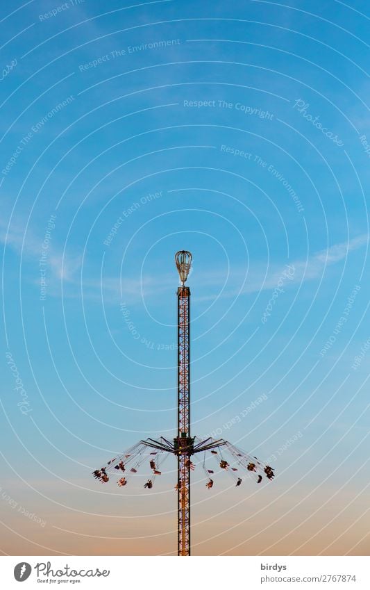 Adrenalin Oktoberfest Jahrmarkt Mensch Menschengruppe Wolkenloser Himmel Schönes Wetter Kettenflieger Kettenkarussell Feste & Feiern authentisch Freundlichkeit